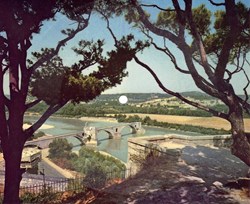Disque carte postale Le pont d'Avignon