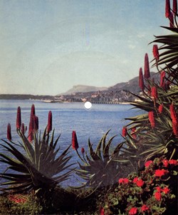 Disque carte postale Menton Côte d'Azur