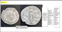 VIMINACIUM GALLIEN CONCOR MIL IMP GALLIENVS P AVG