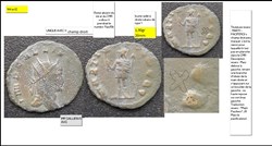 ROME GALLIEN MARTI PACIFERO x champ droit IMP GALLIENVS AVG