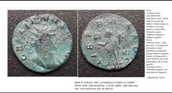 ROME GALLIEN  LIBERAL AVG VI champ droit GALLIENUS AVG