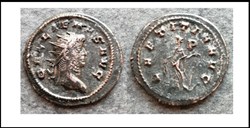 MILAN GALLIEN LAETITIA AVG P champ droit GALLIENUS AVG