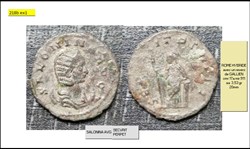 ROME SALONINE SECVRIT PERPET SALONINA AVG HYBRIDE