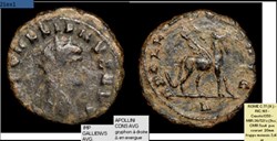 ROME GALLIEN APOLLINI CONS AVG gryphon à droite Δ en exergue IMP GALLIENVS AVG.