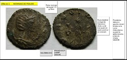 FRAUDE SALONINE PROVID AVG P CHAMP GAUCHE SALONINA AVG