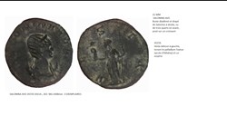 SISCIA SALONINE VESTA SALONINA AVG