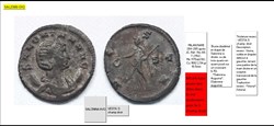 MILAN SALONINE VESTA  S champ droit SALONINA AVG.