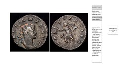 MILAN GALLIEN MARTI PACIFE P CHAMP GAUCHE GALLIENUS AVG