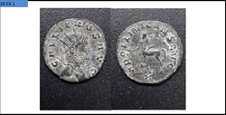 ROME GALLIEN  APOLLINI CONS AVG centaure a gauche H en exergue GALLIENVS AVG