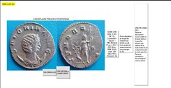 ROME SALONINE IVNO REGINA q CHAMP DROIT SALONINA AVG