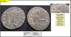 ROME GALLIEN  LIBERO P CONS AVG  Panthère marchant à gauche, B en exergue   GALLIENVS AVG