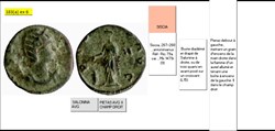 SISCIA SALONINE PIETAS AVG II CHAMP DROIT SALONINA AVG