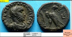 PROVINCIALE GALLIEN ALEXANDRIE L I aigle debout à gauche palme à gauche AUT K P LIK GALLIHNOS SEB