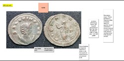 ROME SALONINE PIETAS AVG P CHAMP DROIT SALONINA AVG