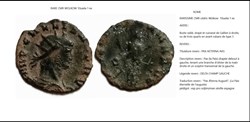 ROME GALLIEN PAX AETERNA AVG DELTA CHAMP GAUCHE IMP GALLIENUS AVG