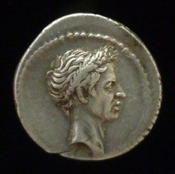 IVLIA