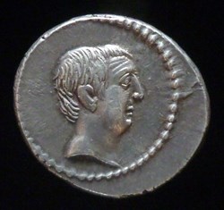 LIVINEIA