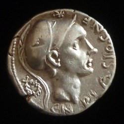 CORNELIA