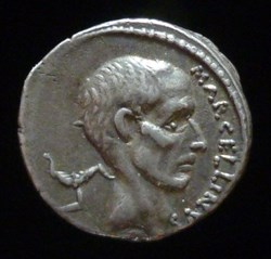 CORNELIA