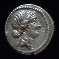 IVLIA