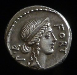 SICINIA