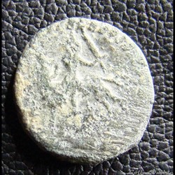 Cavalier d'or