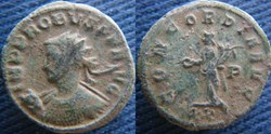 Probus aurélianus