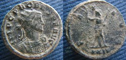 Probus aurélianus