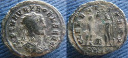 Probus aurélianus