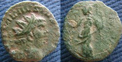 Carausius aurélianus