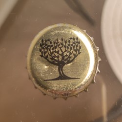 Fever-Tree