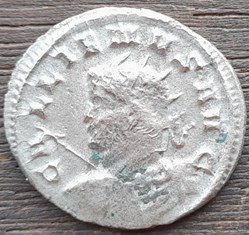 GALLIEN - COHH PRAET VI P VI F