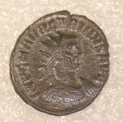CARIN - FIDES