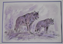 Aquarelle de Marc-Renier