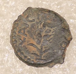 COPONIUS
