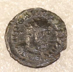ALLECTUS