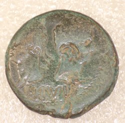 AGRIPPA - AS DE NIME - CONTREMARQUE