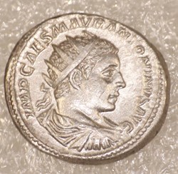 ELAGABALE - SALUS