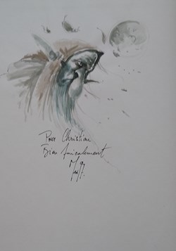 BD - Civiello - La Graine de Folie - Igguk - n°1 + Dessin d'Auteur