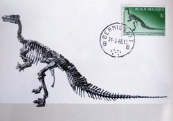 BELGIQUE - 1er avril 1878 : découverte d’iguanodons à Bernissart