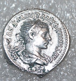 ELAGABALE - FIDES