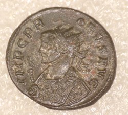 PROBUS - ROMAE