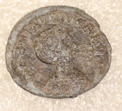MAGNIA URBICA