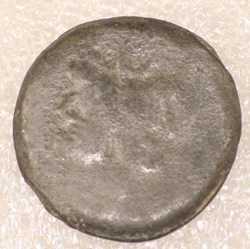 JANUS