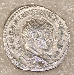 CARACALLA - LION
