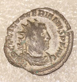 VALERIEN I - APOLINI CONSERVA