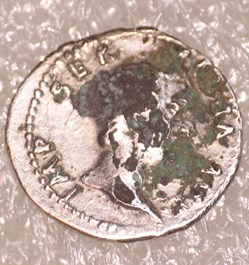 GALBA - FOUREE