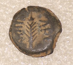 PORCIUS FESTUS