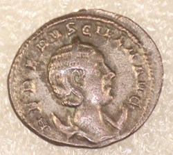 ETRUSCILLE - PUDICITIA