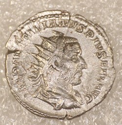 EMILIEN - VICTORIA